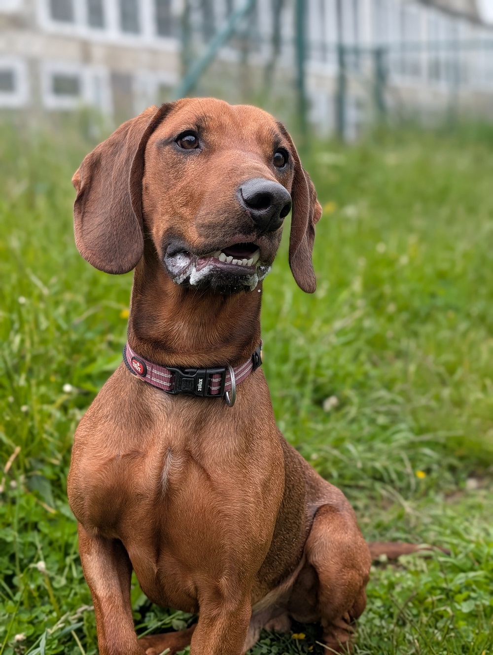 BARRY